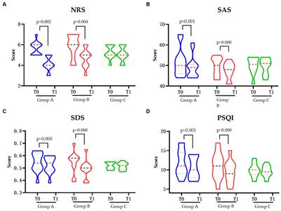 Choosing the optimal target area for repeated transcranial magnetic stimulation in treating neuropathic pain in spinal cord injury patients: a comparative analysis